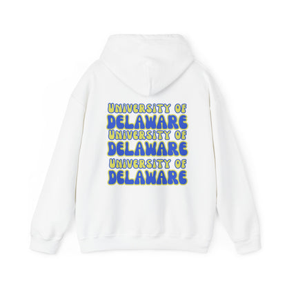 University of Delaware Sweatshirt