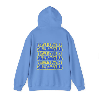 University of Delaware Sweatshirt