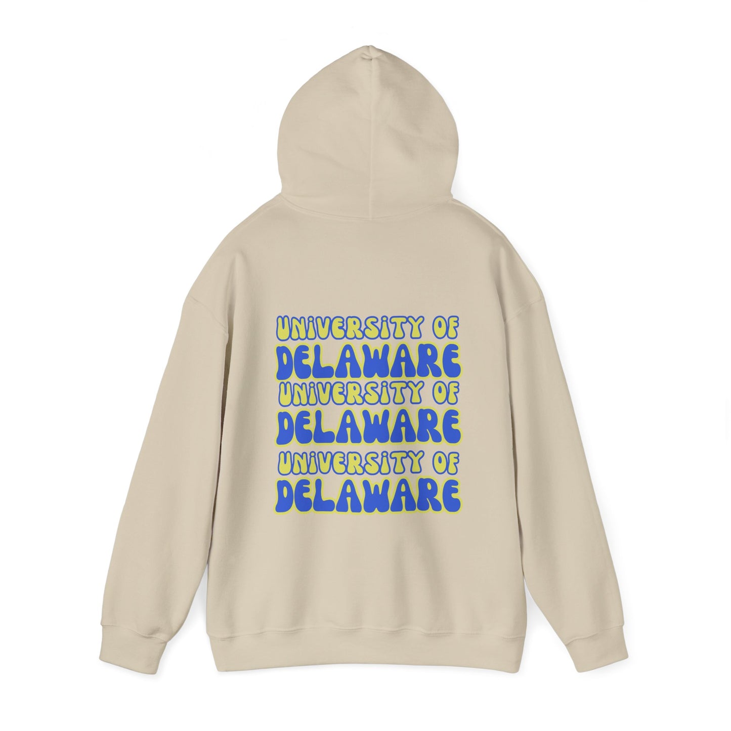 University of Delaware Sweatshirt