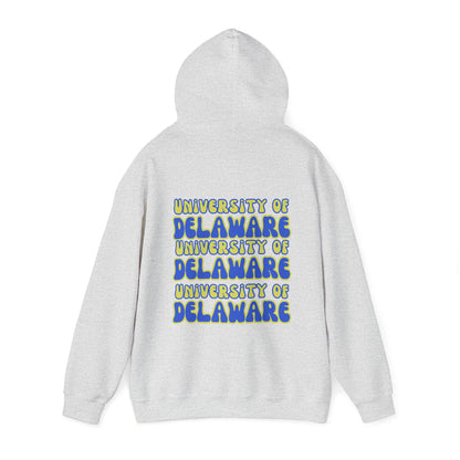 University of Delaware Sweatshirt