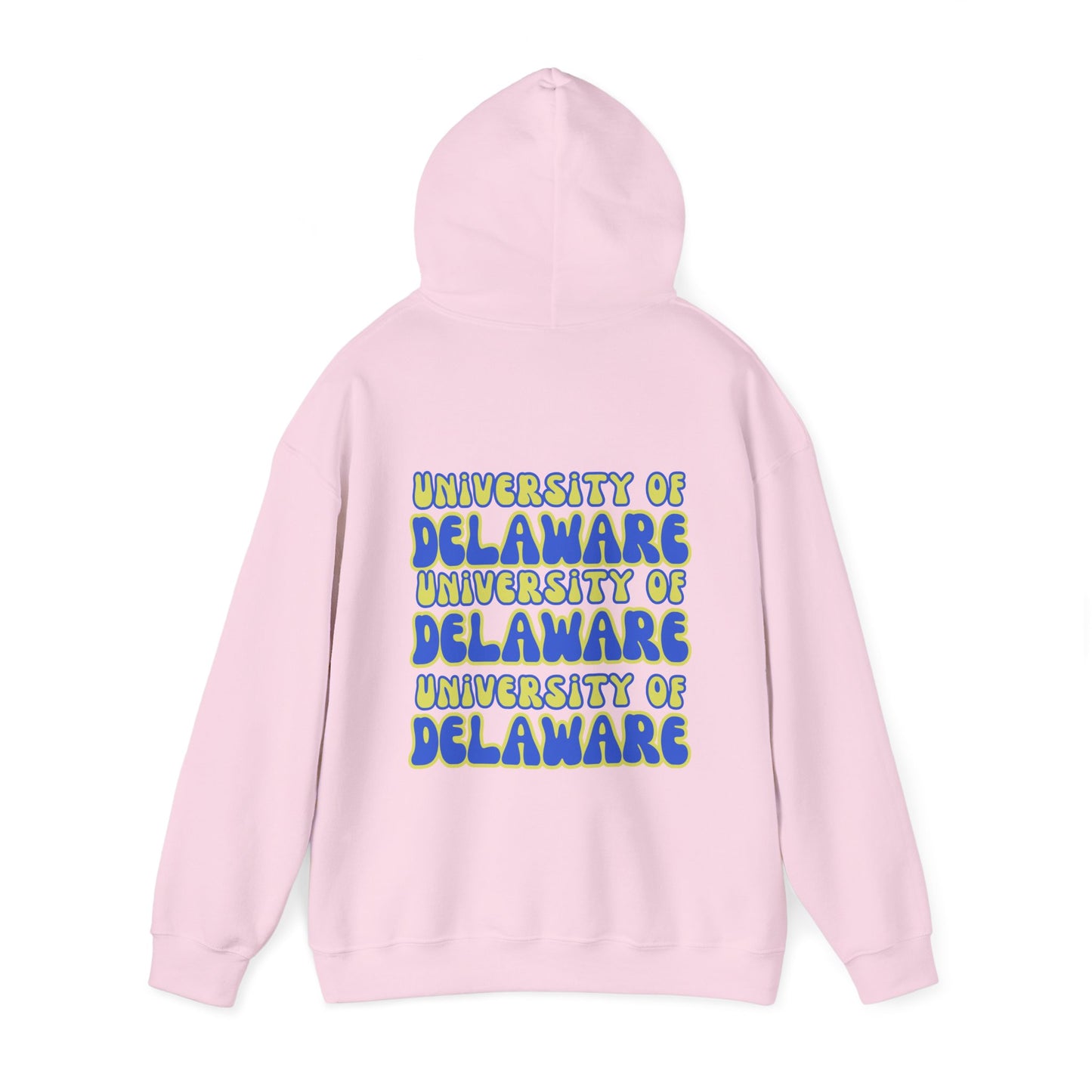 University of Delaware Sweatshirt