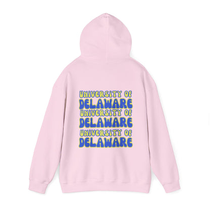 University of Delaware Sweatshirt