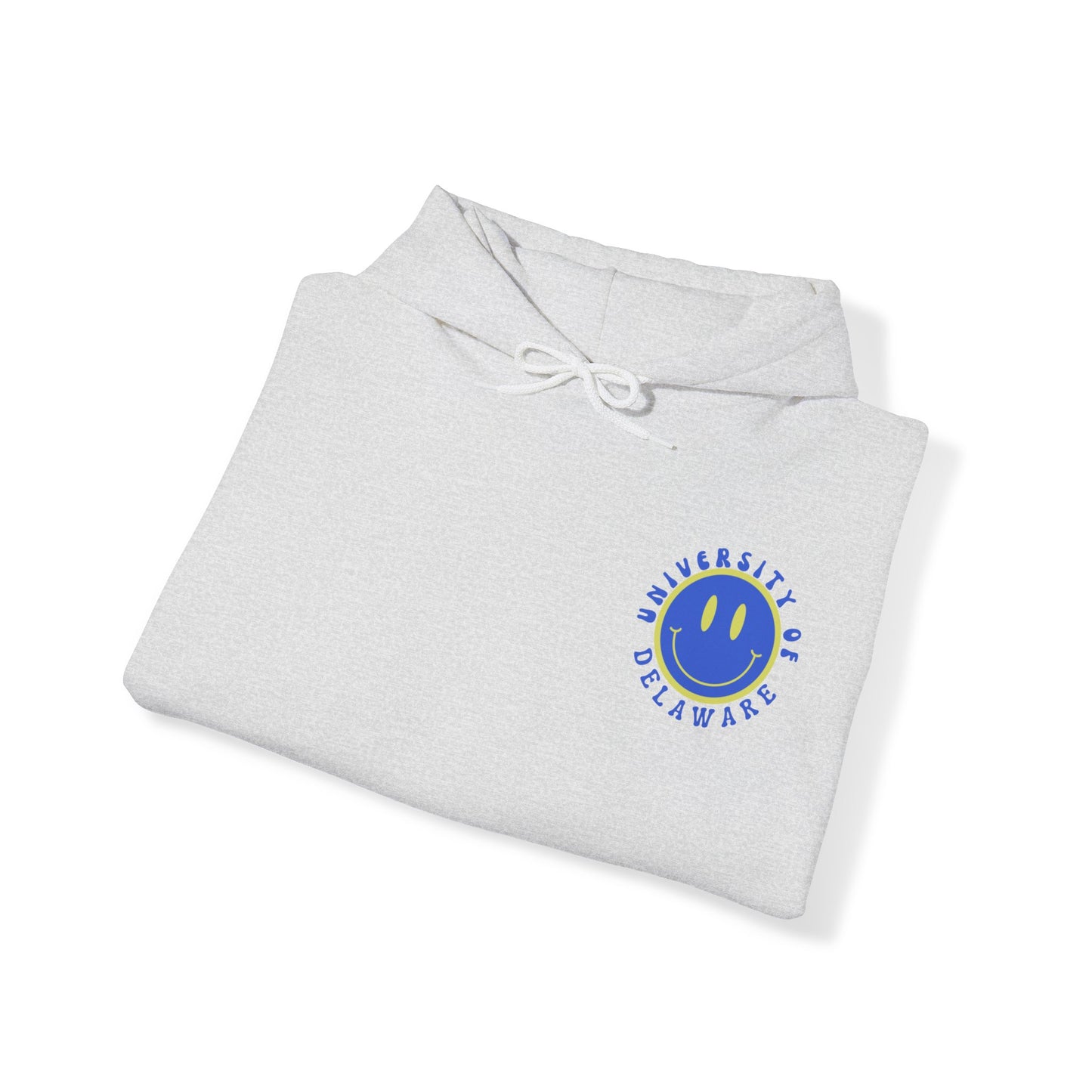 University of Delaware Sweatshirt