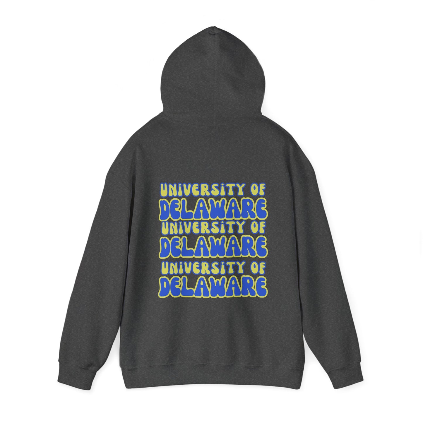 University of Delaware Sweatshirt