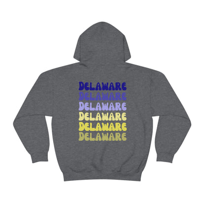 University of Delaware Sweatshirt