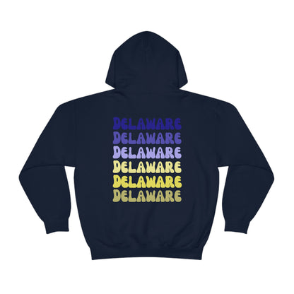 University of Delaware Sweatshirt