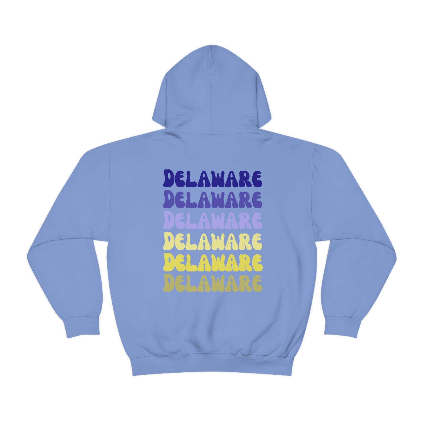 University of Delaware Sweatshirt