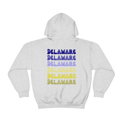 University of Delaware Sweatshirt